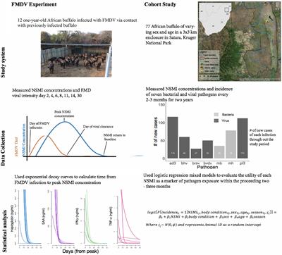 Detection of Pathogen Exposure in African Buffalo Using Non-Specific Markers of Inflammation